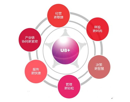探究用友U8財務(wù)管理軟件價格與廣告代理業(yè)務(wù)